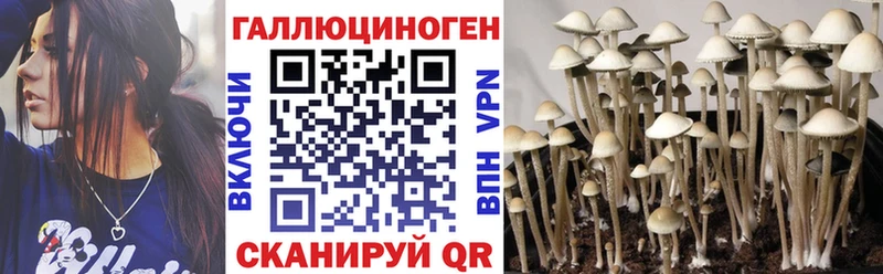 Псилоцибиновые грибы прущие грибы Верхнеуральск